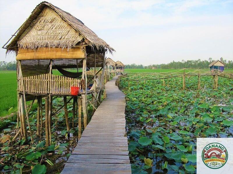 homestay cao lãnh đẹp - Image 3