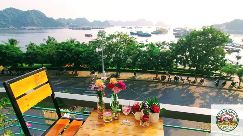 homestay cát bà gần biển - Image 5