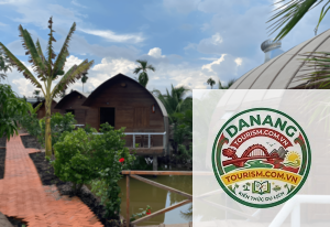 homestay châu thành bến tre