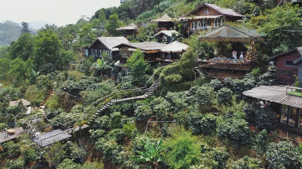 homestay đà lạt có view núi - Image 3
