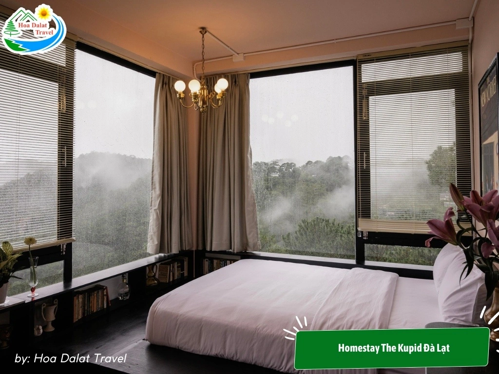 homestay đà lạt săn mây - Image 2