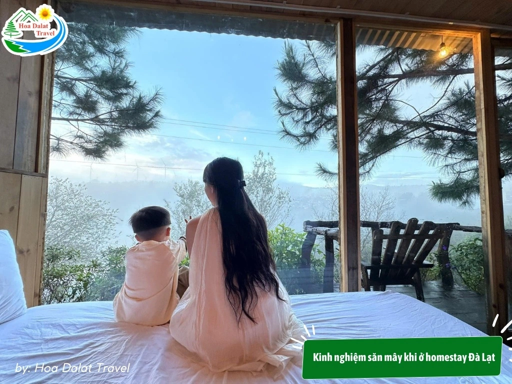 homestay đà lạt săn mây - Image 3