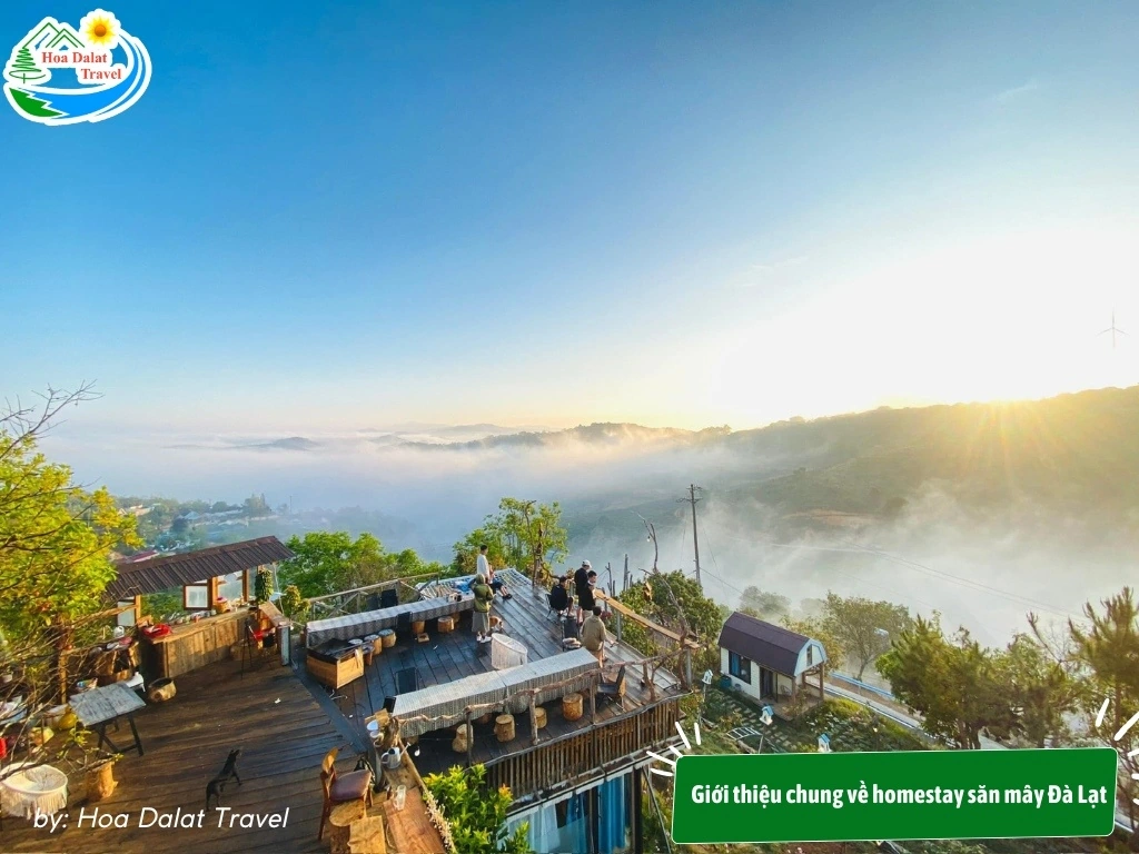 homestay đà lạt săn mây - Image 4