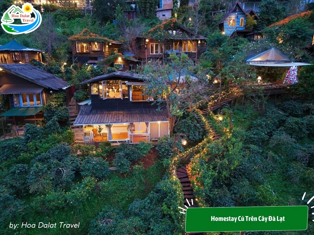 homestay đà lạt săn mây - Image 5