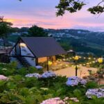 homestay đà lạt view đẹp