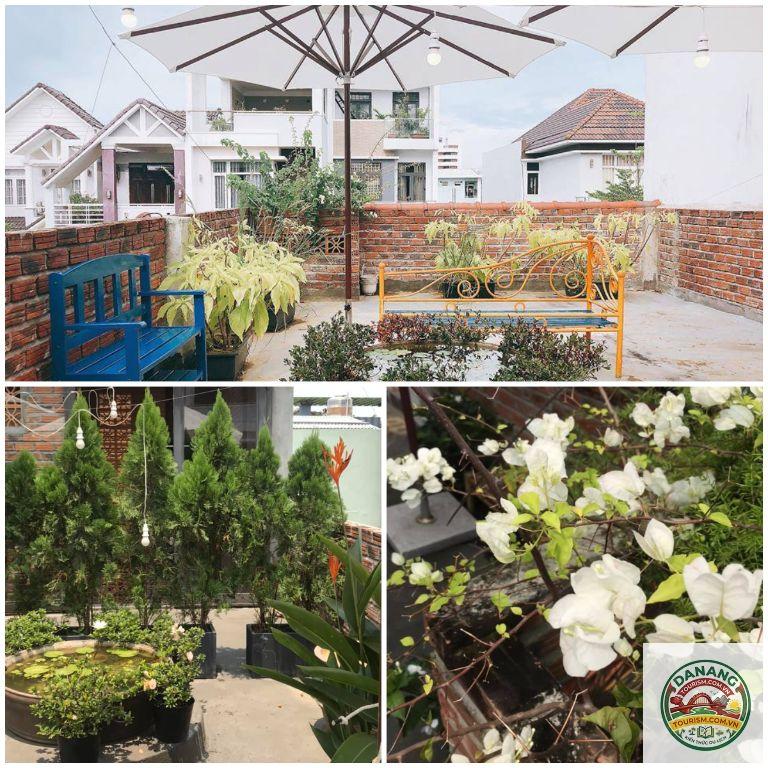 homestay đà nẵng có sân vườn - Image 3