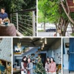 Homestay Đà Nẵng Gần Sông Hàn: Top 10 Lựa Chọn Đẹp, View Sông, Giá Tốt Nhất 2025 homestay đà nẵng gần sông hàn