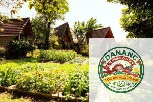 homestay đắk lắk giá rẻ