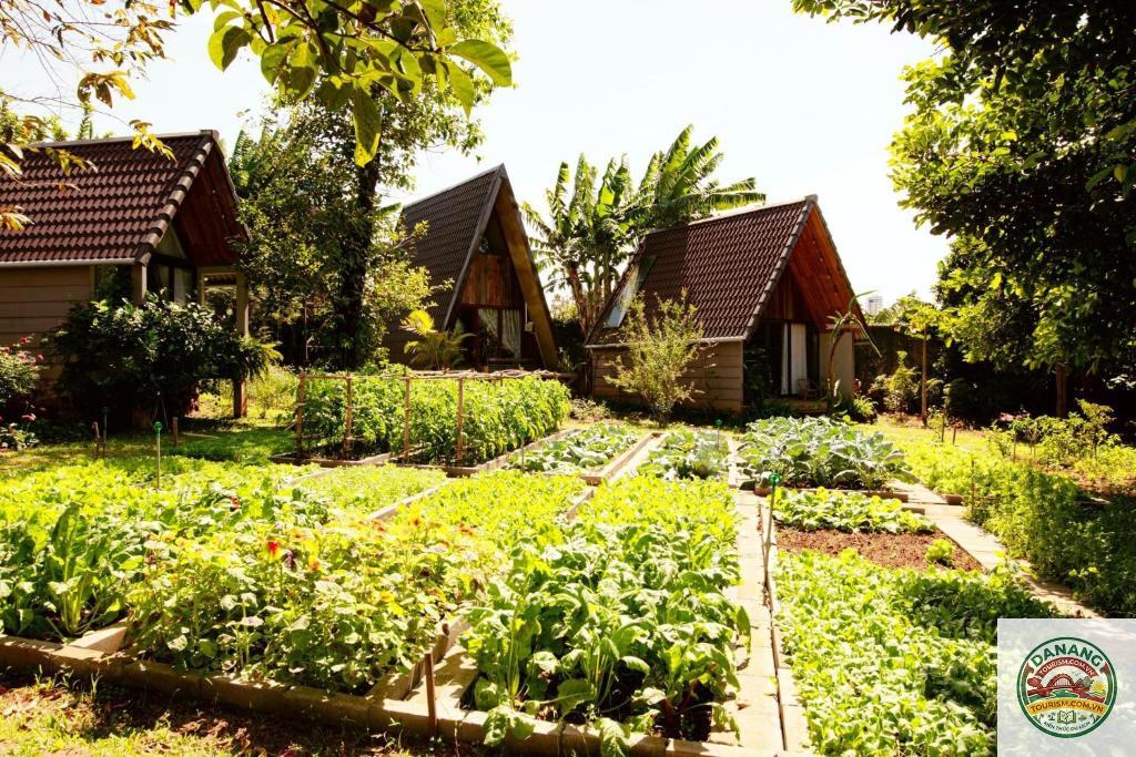 homestay đắk lắk giá rẻ - Image 1