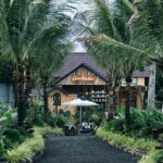 Homestay Đồng Nai Nhà Vườn: Top 10+ Trải Nghiệm Nghỉ Dưỡng Giữa Miệt Vườn Xanh Mát homestay đồng nai nhà vườn