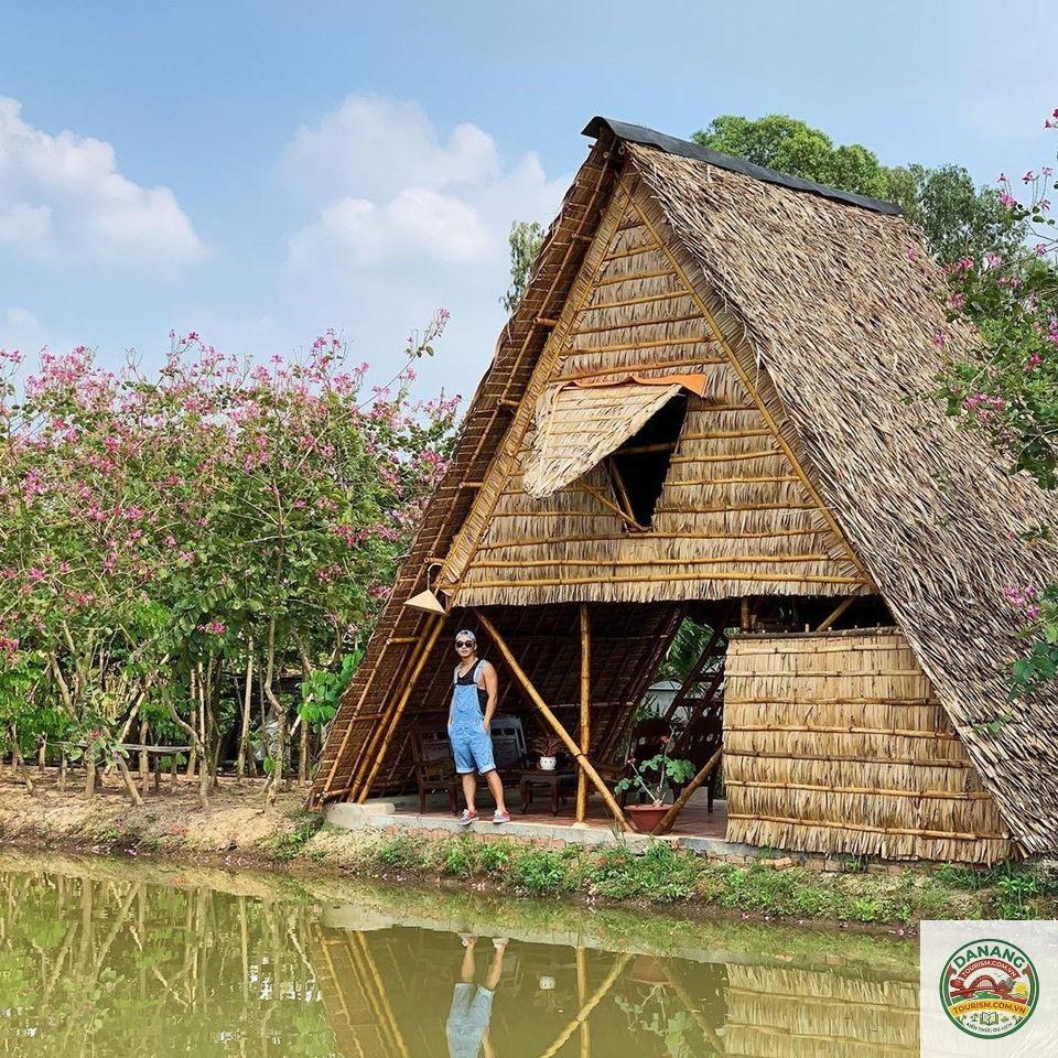 homestay đồng tháp đẹp - Image 4