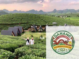 homestay gần đồi chè mộc châu