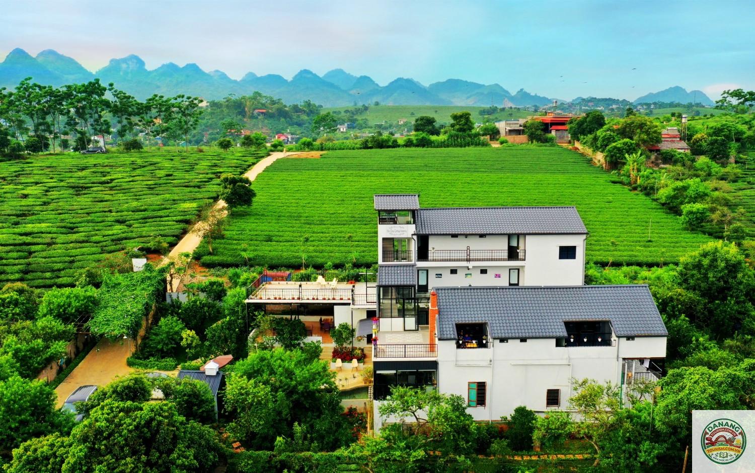 homestay gần đồi chè mộc châu - Image 4