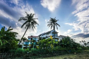 homestay gần rừng dừa bảy mẫu