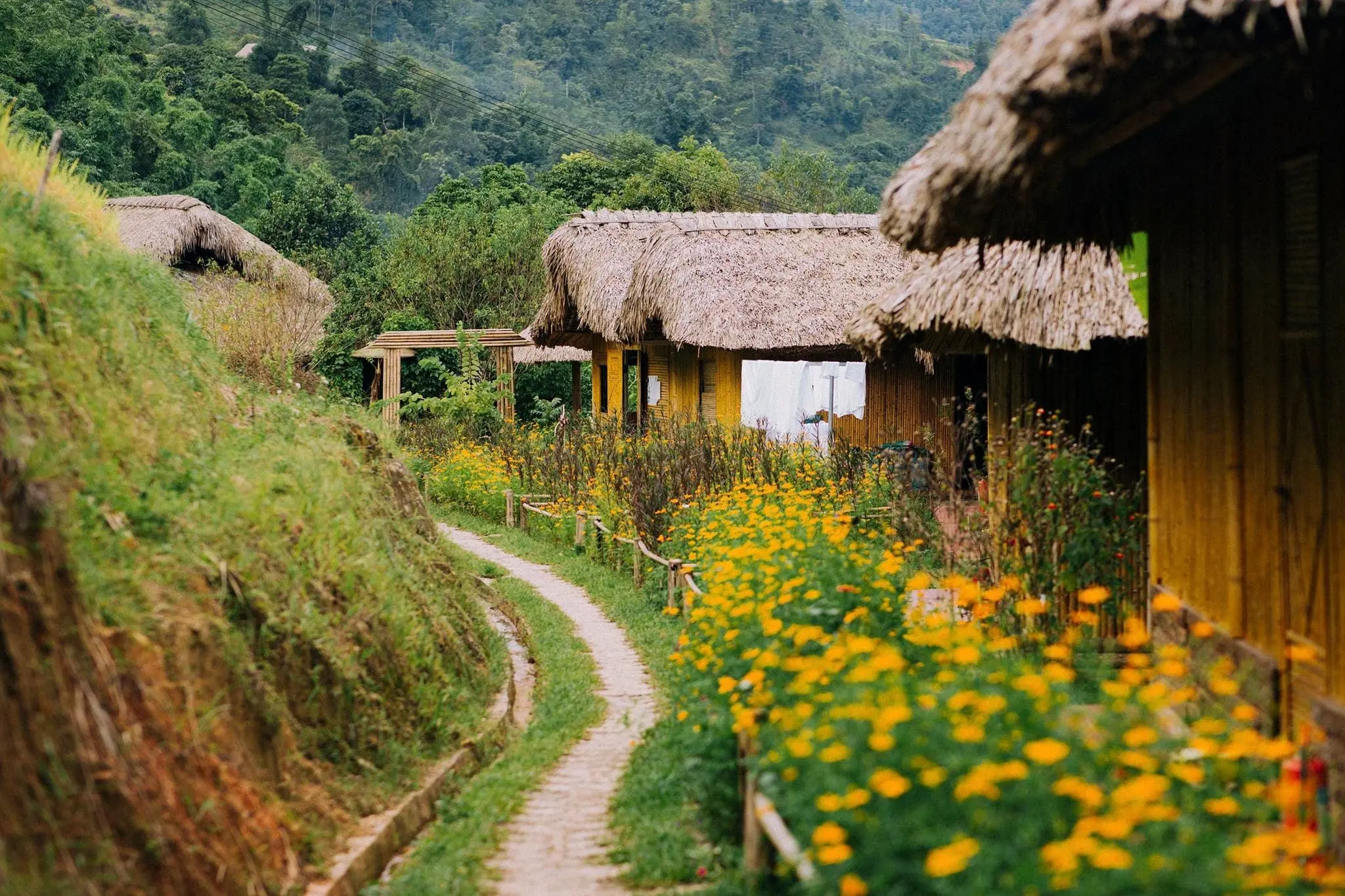homestay hà giang - Image 3