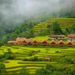 Top Homestay Hà Giang View Núi Đẹp Nhất 2025: Trải Nghiệm Sống Giữa Đại Ngàn homestay hà giang view núi