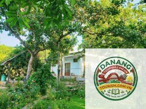 homestay hồ cốc gần biển
