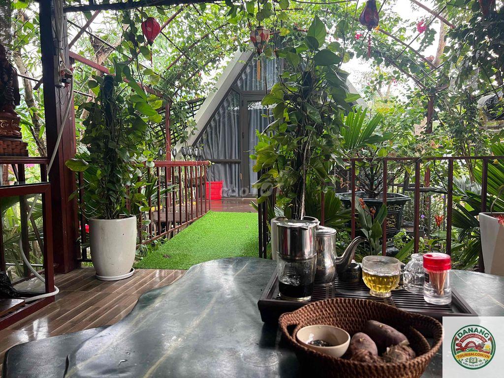 homestay hòa vang nhà vườn - Image 3