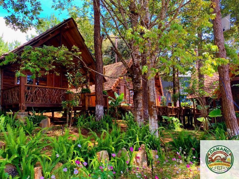 homestay kon tum nhà gỗ - Image 2