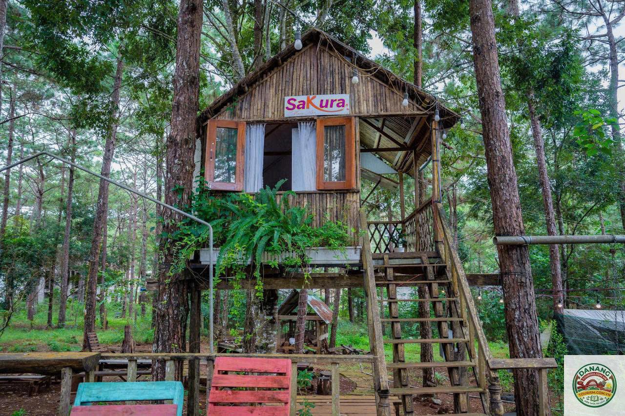 homestay măng đen nhà gỗ - Image 3