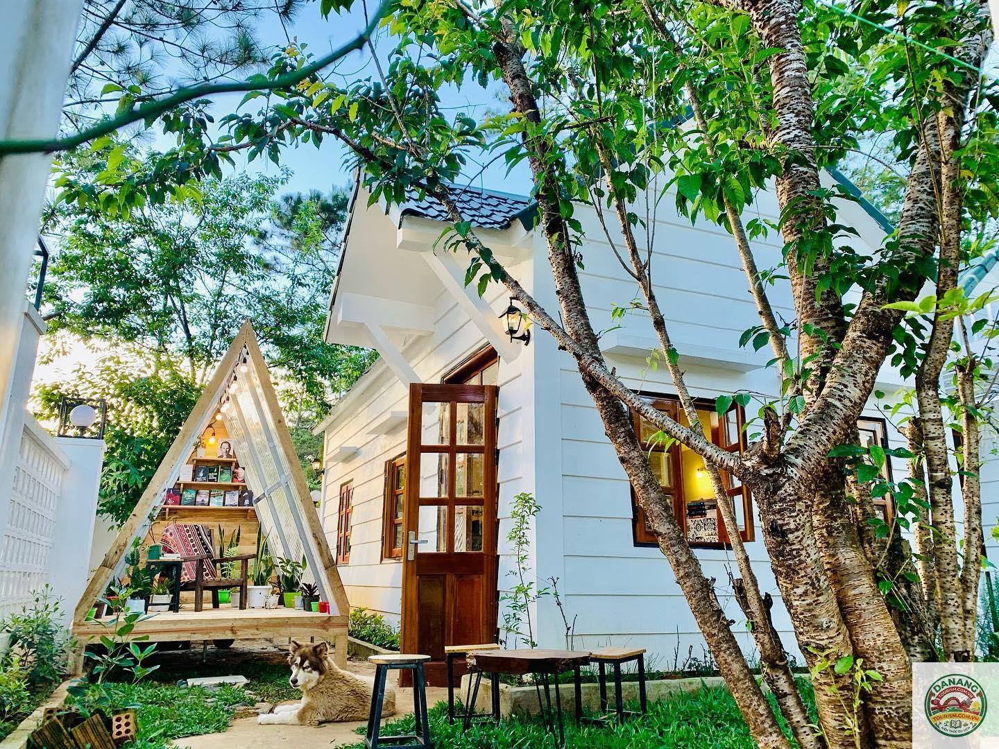 homestay măng đen view rừng - Image 5