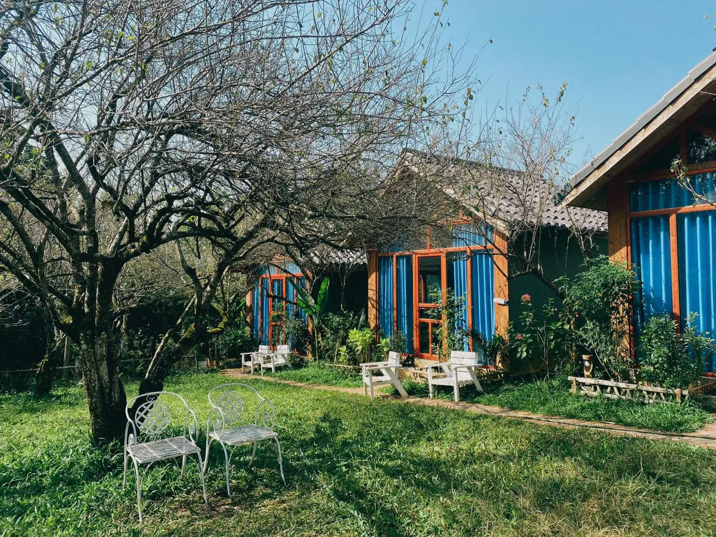 homestay mộc châu view núi - Image 5