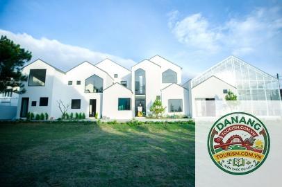 homestay phường 8 đà lạt - Image 4