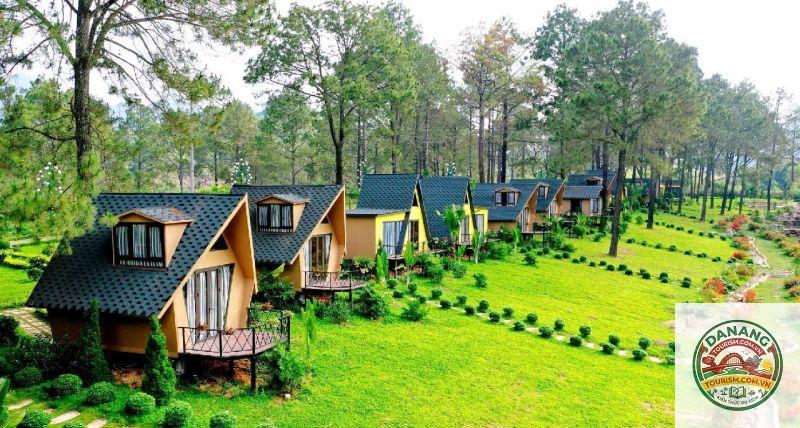 homestay quảng trị giá rẻ