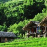 homestay sapa