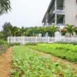 homestay trà quế đẹp