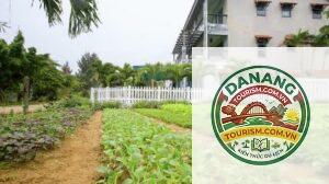 homestay trà quế đẹp