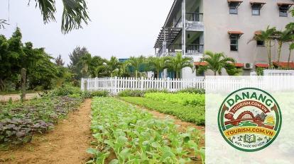 homestay trà quế đẹp