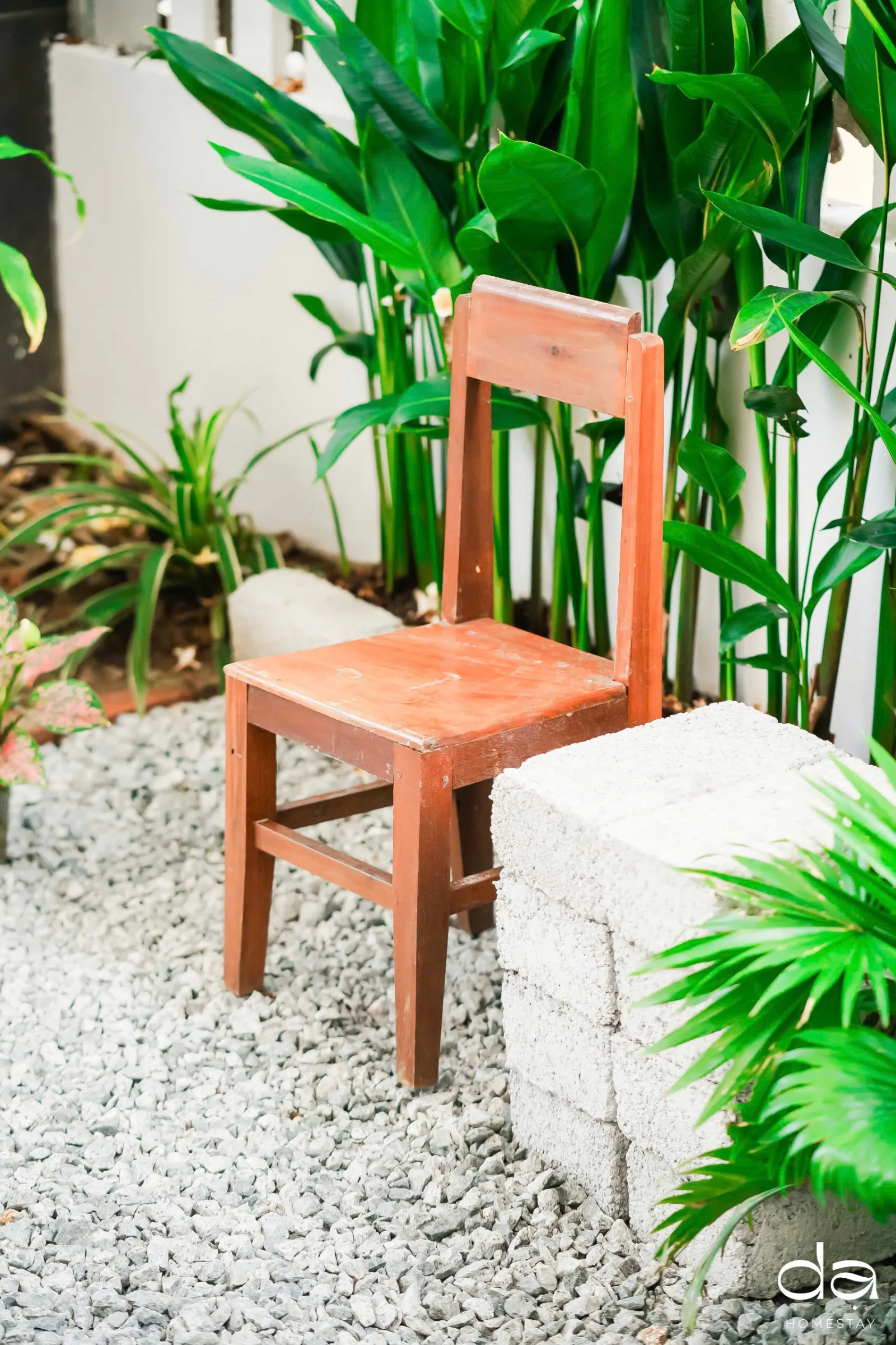 homestay vĩ dạ huế - Image 3
