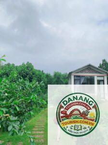 homestay vinh đẹp