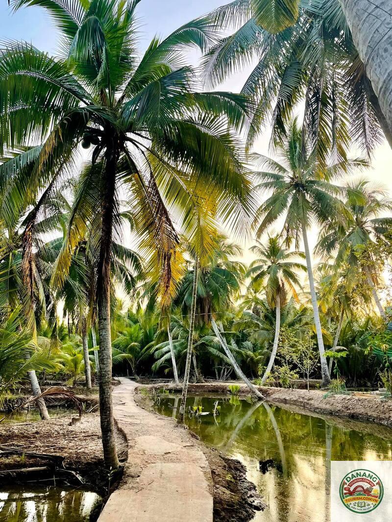 khám phá miền quê Bến Tre - Image 2