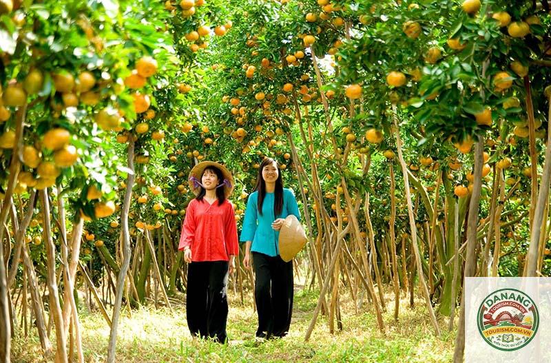 khu du lịch miệt vườn Bến Tre