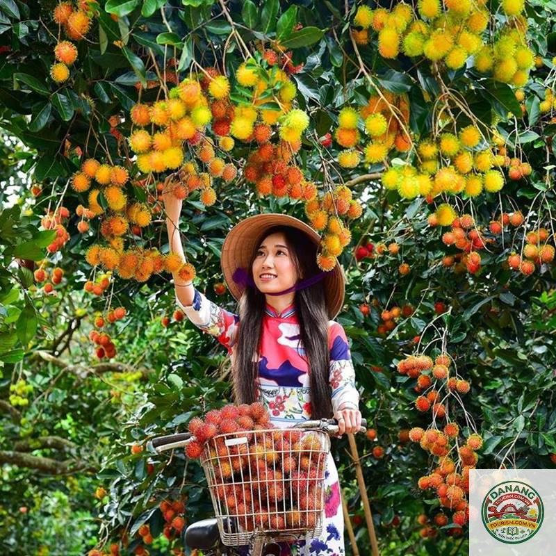 lịch trình du lịch miệt vườn Bến Tre - Image 4