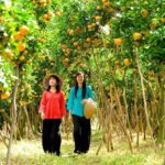 miệt vườn Bến Tre