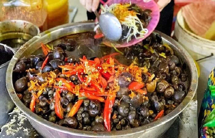 ốc hút đà nẵng - Image 4