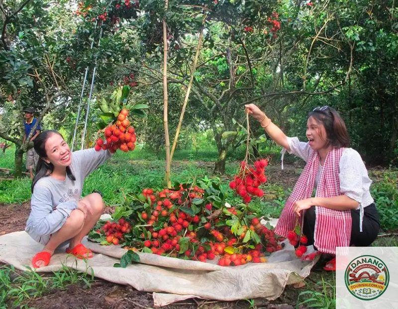 tham quan vườn trái cây Bến Tre - Image 3